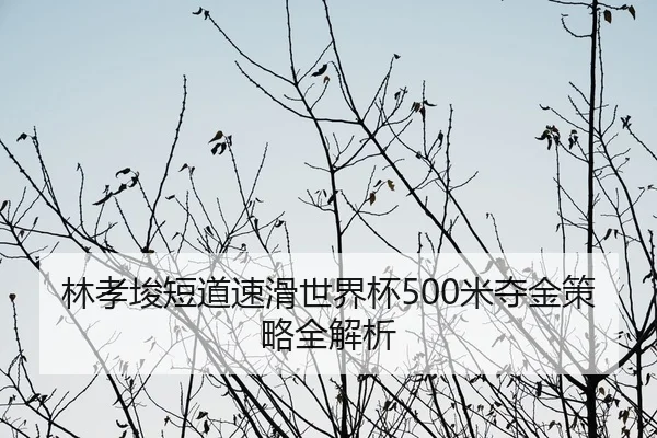 林孝埈短道速滑世界杯500米夺金策略全解析