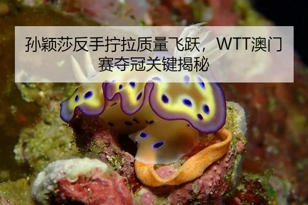 孙颖莎反手拧拉质量飞跃，WTT澳门赛夺冠关键揭秘